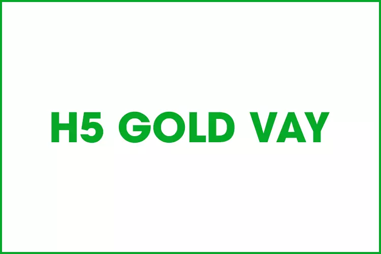 H5 Gold Vay